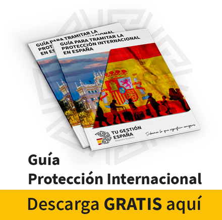 Guía Protección Internacional