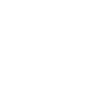 Asset 10