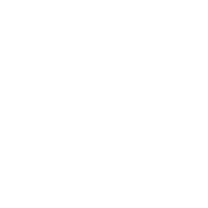 Asset 13