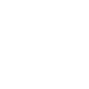 Asset 15